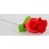 Panty Rose - roosile peidetud tanga - punane (S-L)