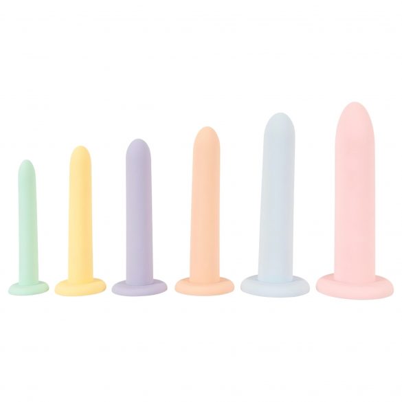 Kuus kõrvuti - dildo treenerikomplekt - 6 tk (värviline)