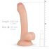 Real Fantasy Vince - kottidega eesnaha dildo - 19,5cm (naturaalne) 