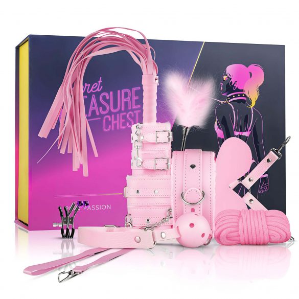 Secret Pleasure Chest - edasijõudnud BDSM komplekt - 14-osaline (roosa) 